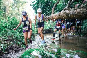 BIB: 
                            <button type="button" onclick="openModal(25466777)" class="btn btn-primary btn-sm float-right btn-popup" data-toggle="modal" data-target=".modal-high-quality">
                        <i class="fas fa-shopping-cart"></i> Add to Cart
                    </button>
                                            <button type="button" onclick="isThisMe(25466777, true)" class="btn btn-success btn-sm float-right btn-popup btn-isme hidden" data-toggle="tooltip" data-placement="bottom" title="นี่คือรูปของคุณใช่ไหม คลิกที่นี่เพื่อเอาเข้าอัลบั้ม">
                        <i class="fas fa-plus"></i> Add to album
                    </button>
                    <button type="button" onclick="isThisMe(25466777, false)" class="btn btn-warning btn-sm float-right btn-popup btn-isnotme hidden">
                        <i class="fas fa-ban"></i> Remove from album
                    </button>